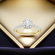 9ct Gold Diamond Ring 0.50ct TDW | RB17645EG