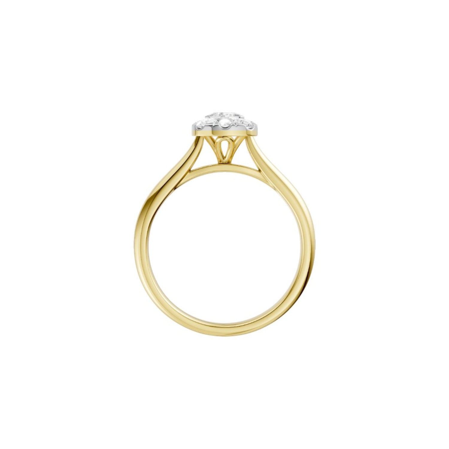 RB17603EG – 9ct Gold Diamond Ring | Cluster Setting | 0.33ct TDW 9ct Gold Diamond Cluster Ring – RB17603EG | 0.33ct TDW | Christies Jewellery NZ