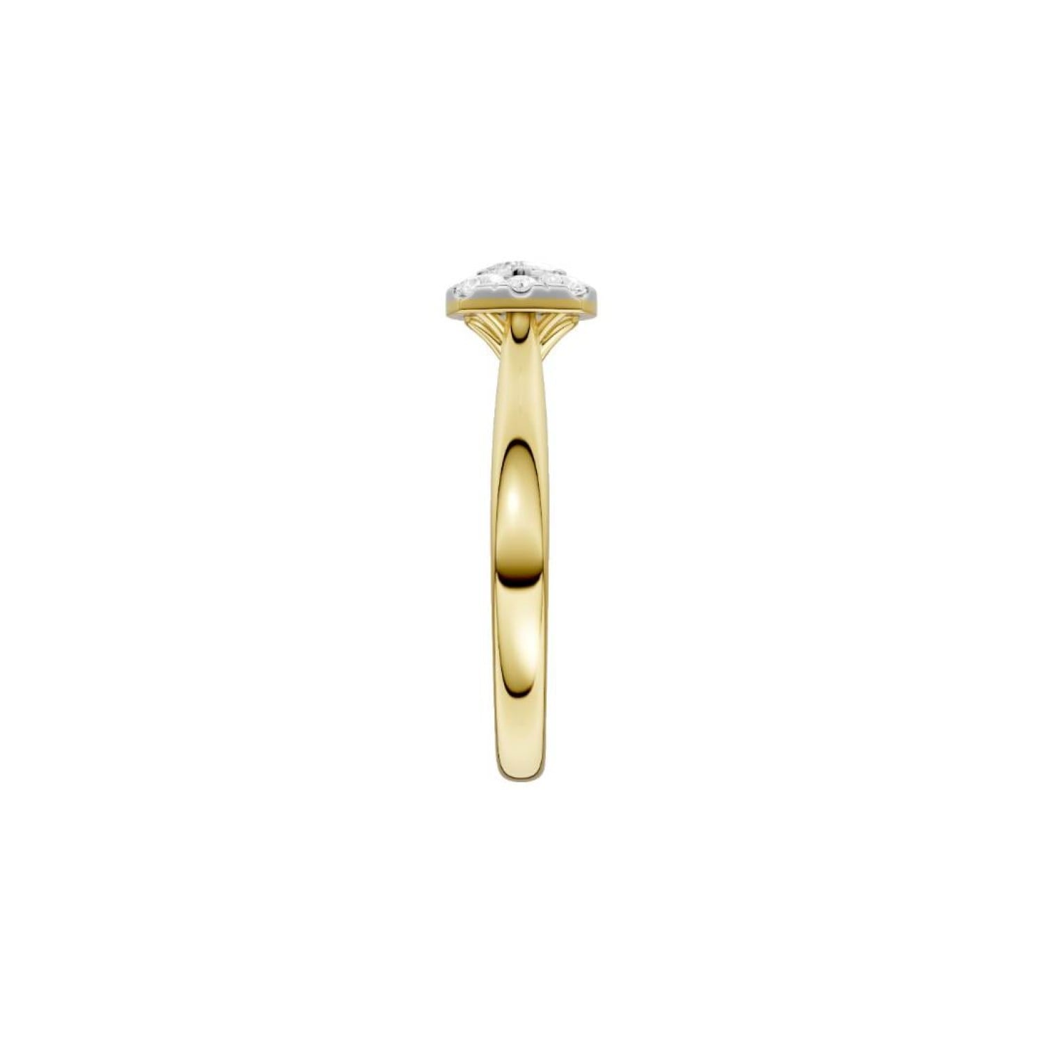 RB17603EG – 9ct Gold Diamond Ring | Cluster Setting | 0.33ct TDW 9ct Gold Diamond Cluster Ring – RB17603EG | 0.33ct TDW | Christies Jewellery NZ