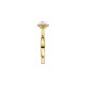 RB17603EG – 9ct Gold Diamond Ring | Cluster Setting | 0.33ct TDW 9ct Gold Diamond Cluster Ring – RB17603EG | 0.33ct TDW | Christies Jewellery NZ
