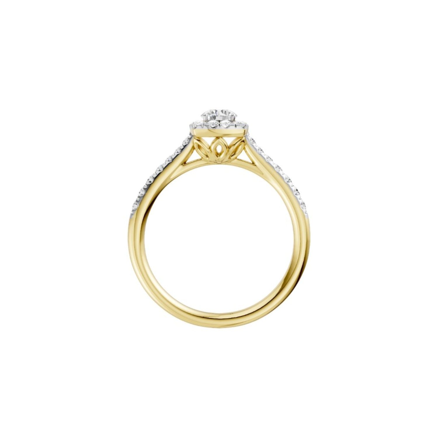 9ct Gold Diamond Ring 0.50ct TDW | RB17645EG – Christies Jewellery NZ- Christies Jewellery Online and Auckland - Free Delivery - Afterpay and Zip the easy way to pay 9ct Gold Diamond Ring 0.50ct TDW | RB17645EG by Christies Jewellery