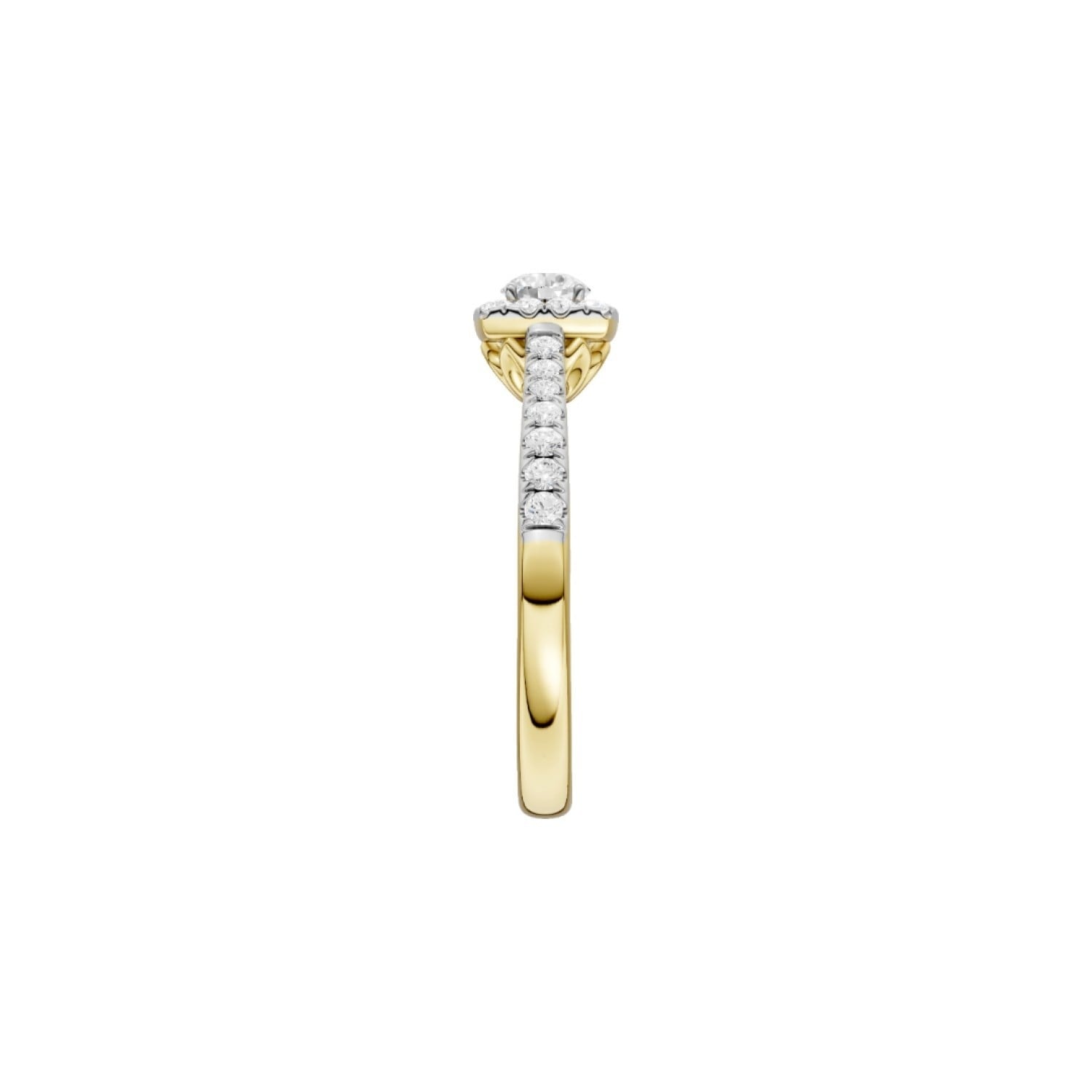 9ct Gold Diamond Ring 0.50ct TDW | RB17645EG – Christies Jewellery NZ- Christies Jewellery Online and Auckland - Free Delivery - Afterpay and Zip the easy way to pay 9ct Gold Diamond Ring 0.50ct TDW | RB17645EG by Christies Jewellery