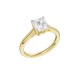 18ct Yellow Gold Asscher Cut 1ct Lab-Grown Diamond Ring | RS07764-LGD-18KY – Christies Jewellery NZ- Christies Jewellery Online and Auckland - Free Delivery - Afterpay and Zip the easy way to pay 18ct Yellow Gold Asscher Cut 1ct Lab-Grown Diamond Ring | RS07764-LGD-18KY by Christies Jewellery