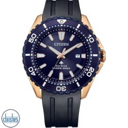 BN0166-01L Citizen Promaster Marine Eco-Drive Watch