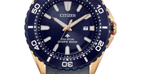 Citizen Watches BN0166 01L Watches NZ Christies Jewellery Watches
