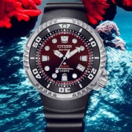 BN1024-01Z Citizen Promaster Eco-Drive WR300 Watch 