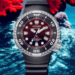 BN1024-01Z Citizen Promaster Eco-Drive WR300 Watch 