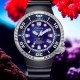 BN1025-08L Citizen Promaster Scuba Diving Limited Edition Watch – Citizen Watches Auckland- Christies Jewellery Online and Auckland BN1025-08L Citizen Promaster Scuba Diving Limited Edition Watch by Citizen Watches Auckland- Christies Jewellery Online and Auckland