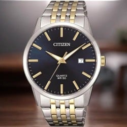 BI5006-81L Citizen 2 Tone Watch