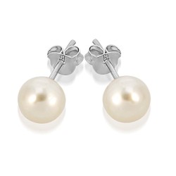 Pearl Stud Earrings 5mm Pearl Stud Earrings 5mm