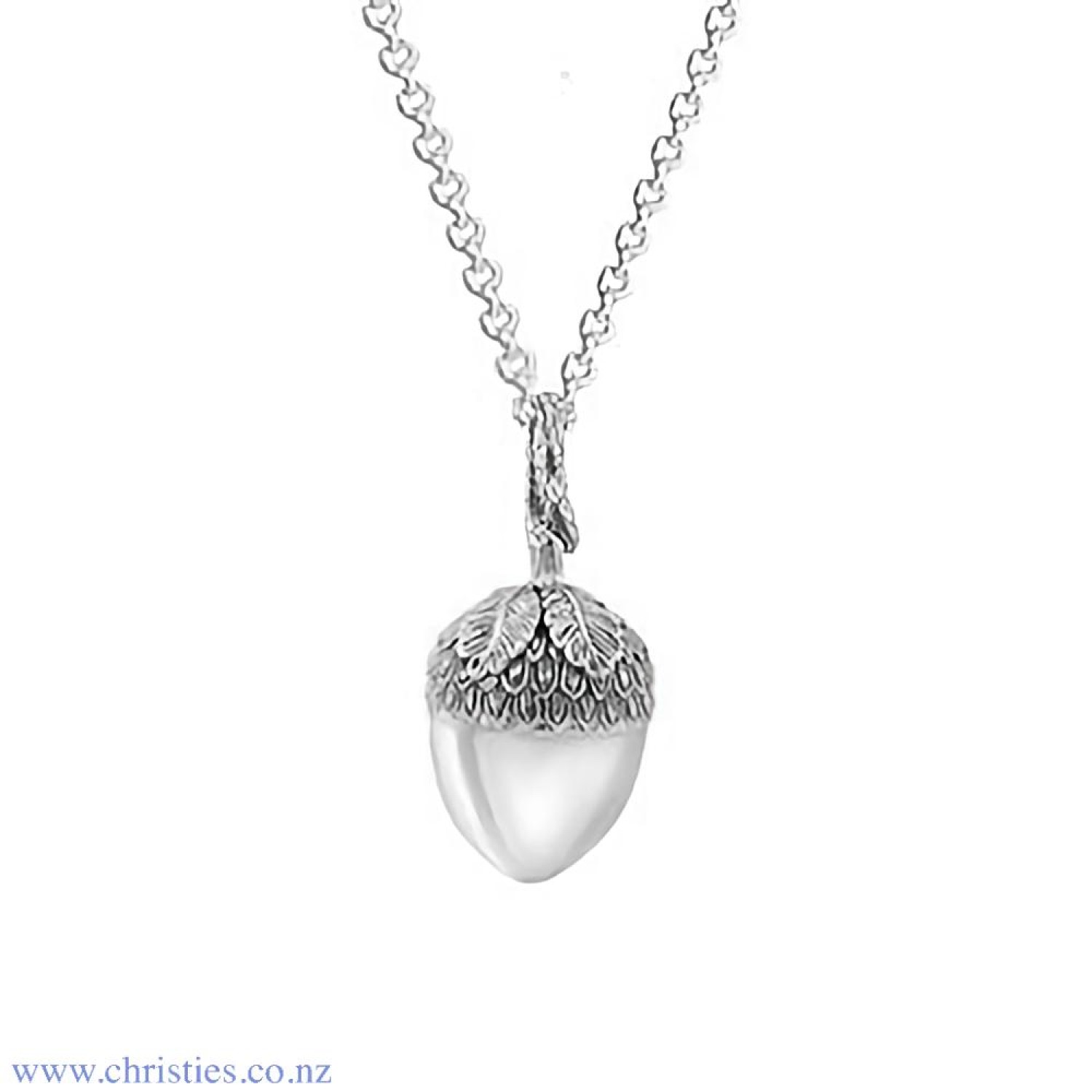 2P61006 Evolve NZ Acorn Pendant. From a tiny little acorn grows a magnificent and strong tree. This special little pendant nurtures your inner strength and potential, allowing you to grow and flourish into something great.  Available in store at Ch @chris