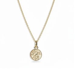  3N40027 Evolve Tui Coin Necklace (Admired) 