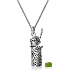 4N20001 Evolve Silver Fern Locket Pendent (Natural Beauty)