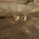 3E40059 Fierce Heart Studs (Wild) - Gold by Evolve Jewellery