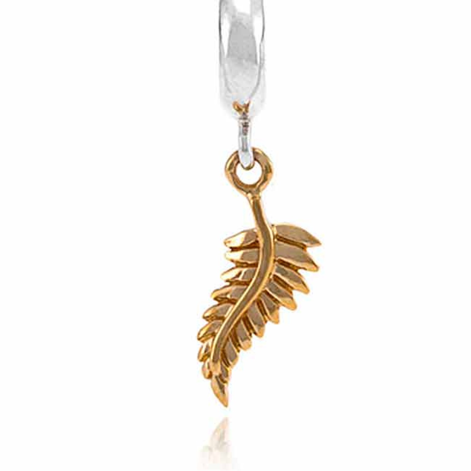 128G Evolve 9ct Gold Charm Aotearoa Fern. The unofficial symbol of New Zealand, the silver fern evokes a sense of pride, admiration and dedication towards beautiful Aotearoa.  The sculptural beauty of our native fern’s foliage, with its striking silve @ch