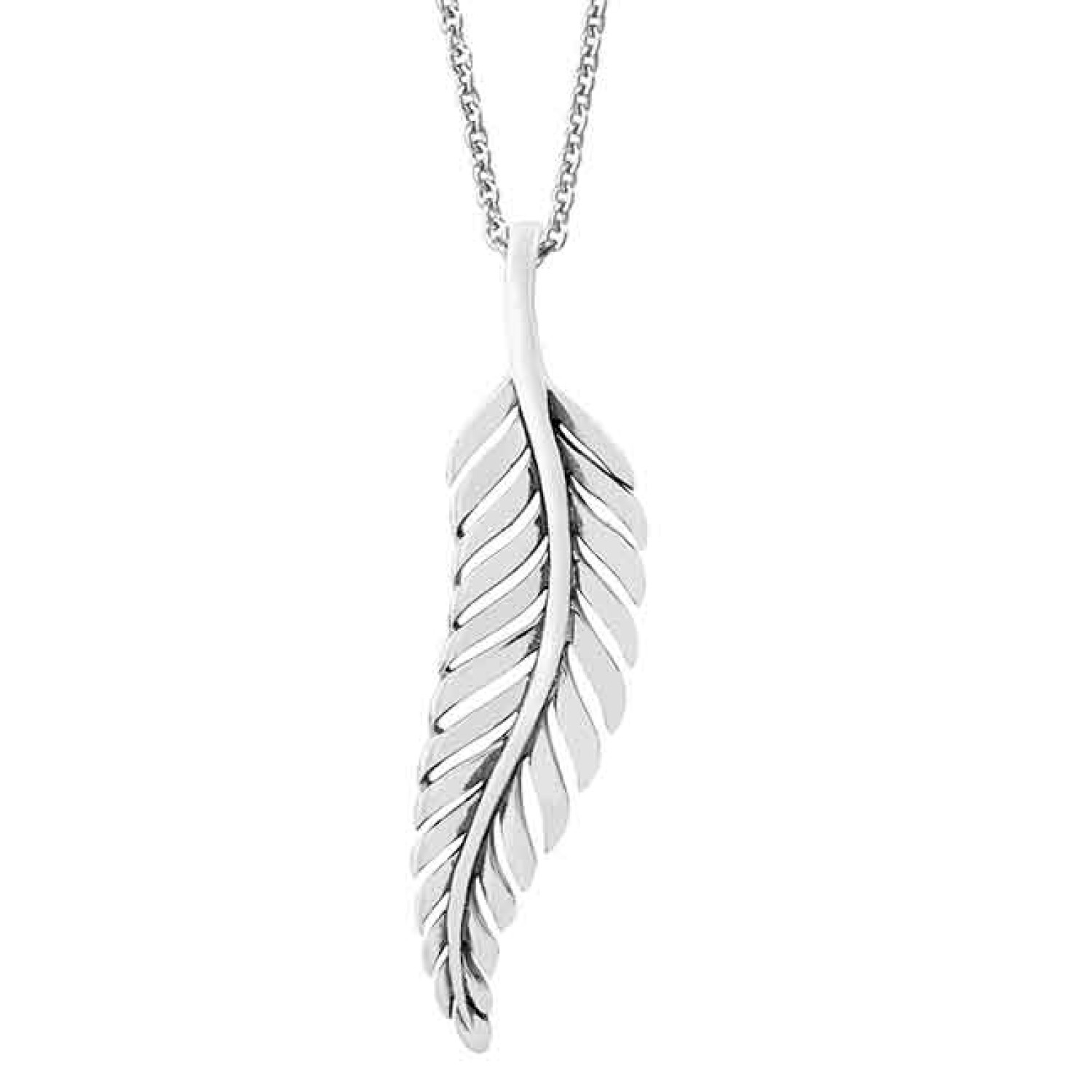 Evolve Forever Fern. The silver fern is widely used as a symbol by New Zealand national sports teams in various stylised forms. Silver Ferns is the name of the national netball team, and most other national womens sports teams have n @christies.online