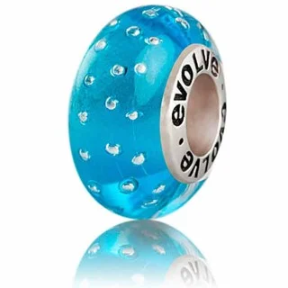 Evolve charms sale discount