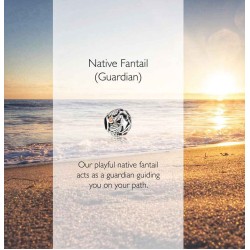 LK236CZ Evolve Charms Native Fantail Silver LK236CZ Evolve Charms Native Fantail Silver