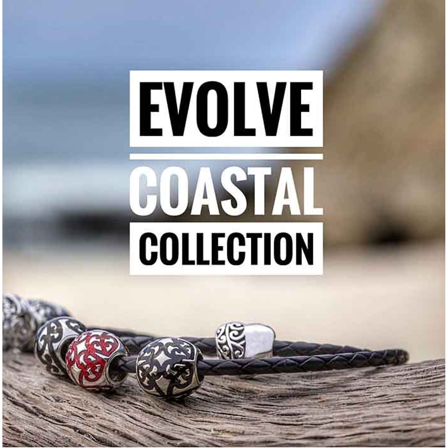 LKE036 Evolve Charms My Family Tree Silver LKE036 - Evolve Charms Sale LKE036 Evolve Charms My Family Tree Silver. This charm is inspired by the iconic Māori kōwhaiwhai patterns often used to honour influential and celebrated ancestors. These patterns adorned the tribal waka (canoes) of the first Māori to arrive on the shore