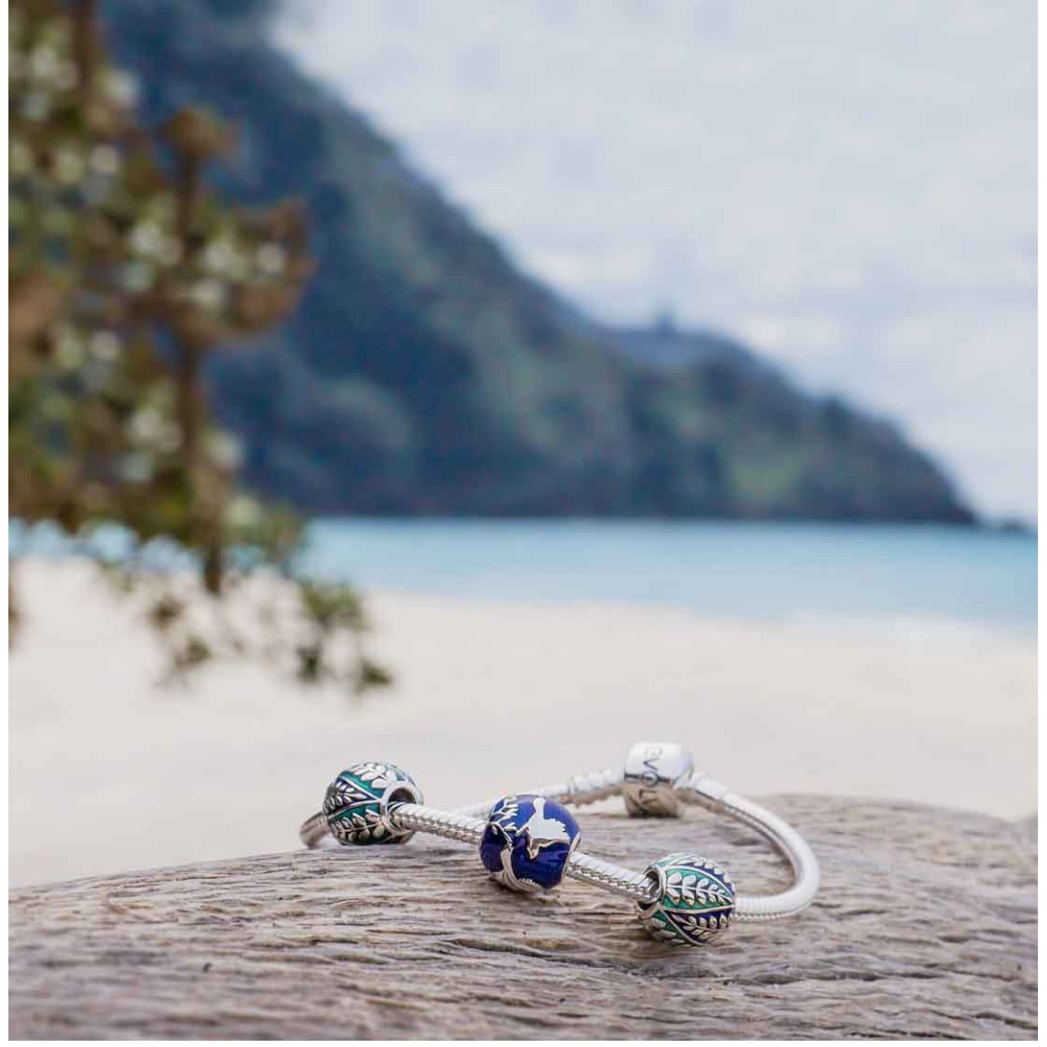 LKE035 Evolve Charms Aotearoa’s Tui Silver LKE035 - Evolve Charms Sale LKE035 Evolve Charms Aotearoa’s Tui Silver. The regal Tui is New Zealand’s ‘musician of the bush’. Their beautiful melodies drift through our coastal forests bringing happiness and energy to the start of each day. Often silhouetted against our iconic nati