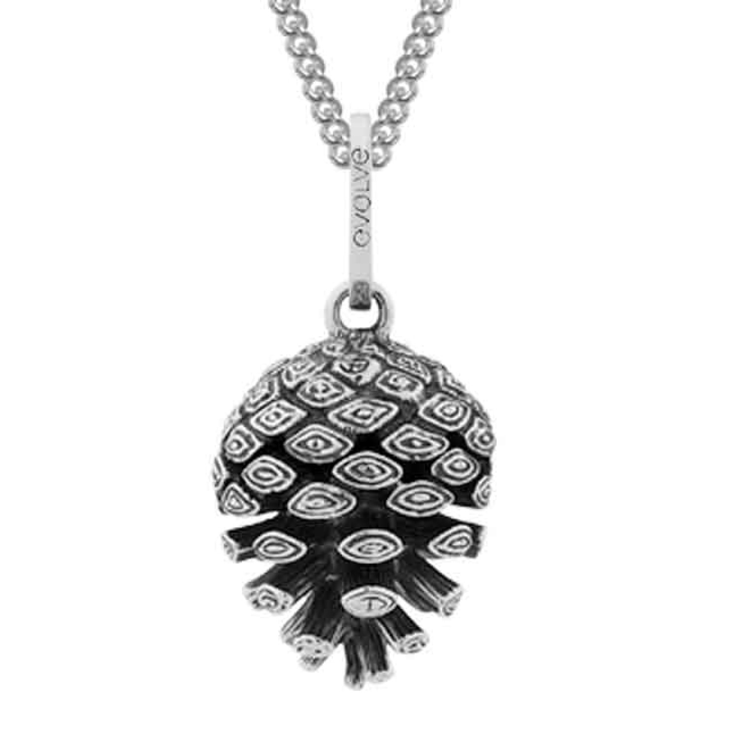 2P61002 Evolve NZ Pinecone Pendant. The iconic, valued little pinecone is a symbol of independence, intuition and recreation. As each perfect little seed floats freely to the ground, it finds a special place to grow into a strong pine tree. Available @chr