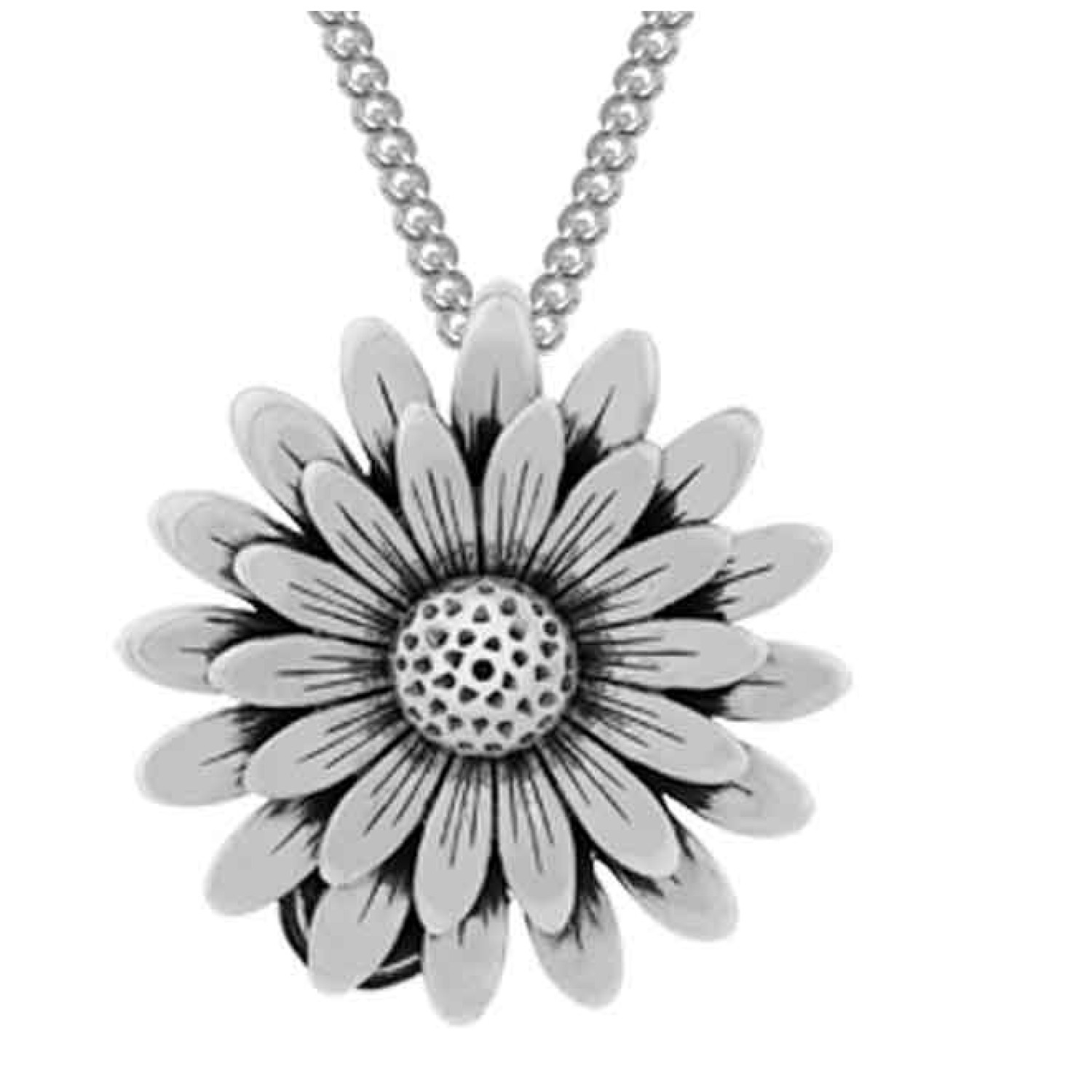 2P61003 Evolve NZ Daisy & Ladybird Pendant. Evolves silver daisy pendant symbolises those who are beautiful, kind and gentle. Cherished by many, these pretty little flowers are found abundantly within Aotearoa’s treasured gardens and fields. This spec