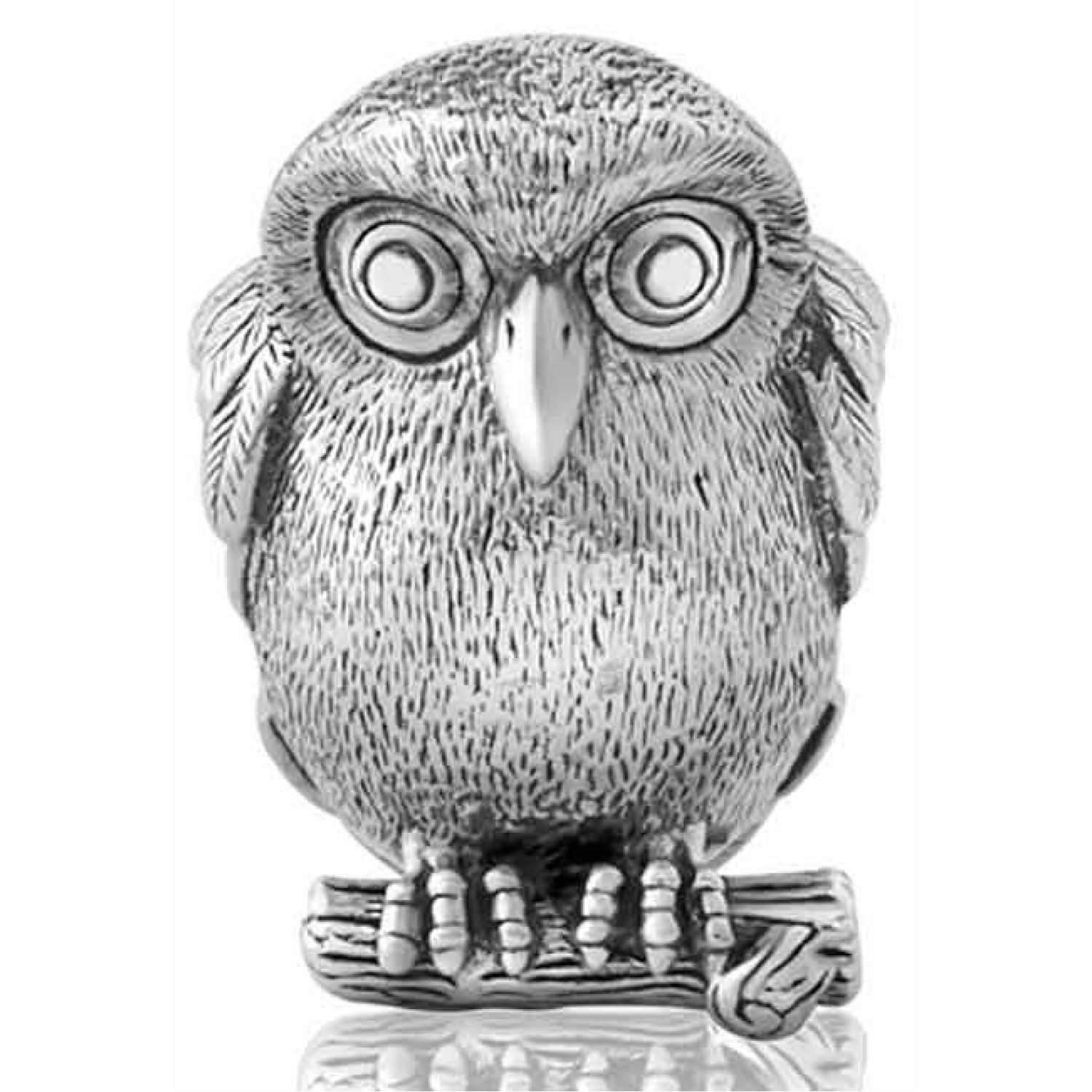 LK229 Evolve Ruru Charm (Morepork). A watchful guardian representing wisdom and knowledge, Ruru is the Maori name for the New Zealand native owl, the Morepork. With its large shining eyes and melancholy hooting call, the Ruru is widely admired and respect