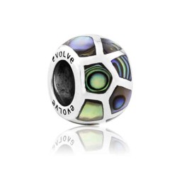 LKP001 Evolve NZ Treasured Paua