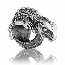 LK021 NZ Tuatara Ancient Native Reptile