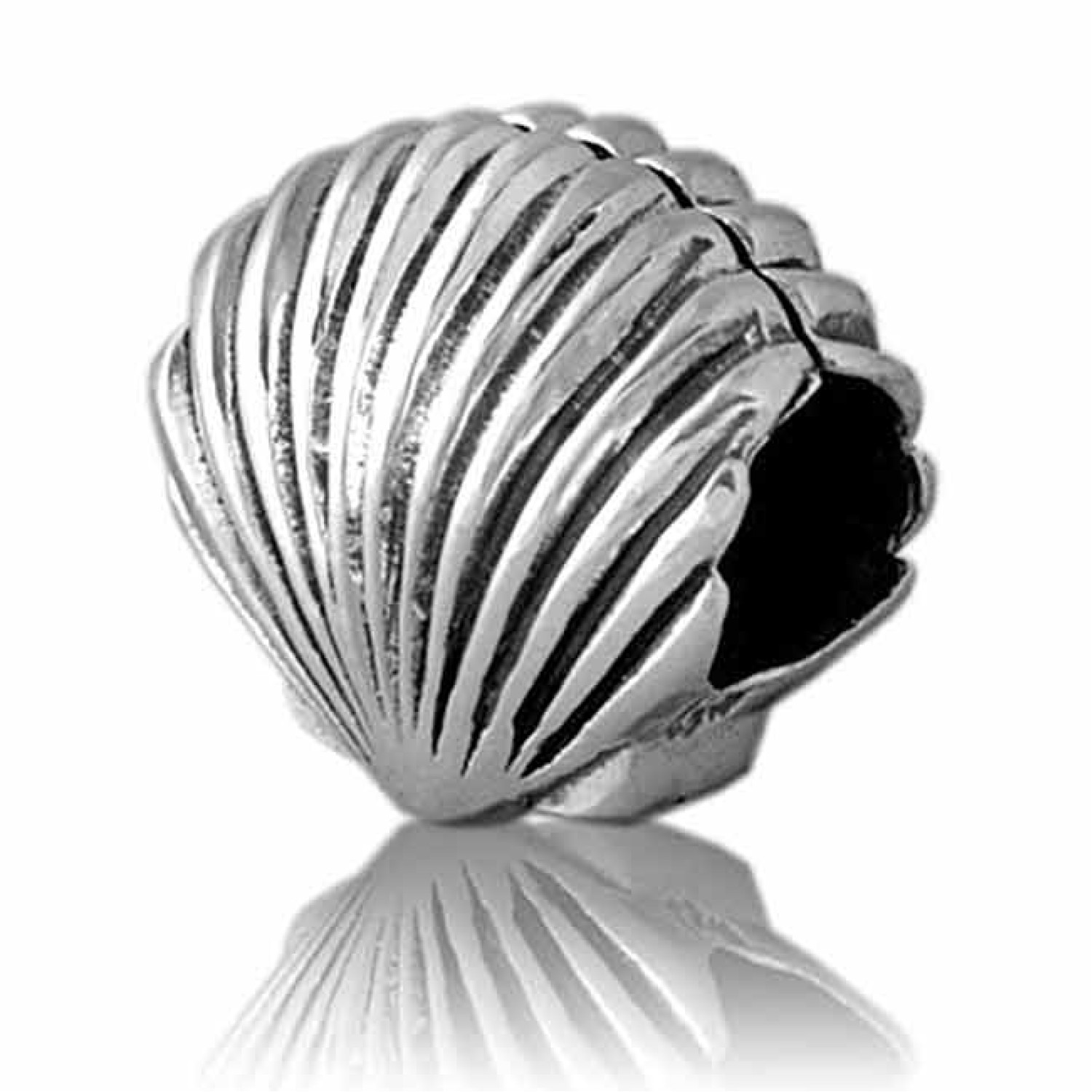 LK083 Evolve Charms Scallop. Evolve New Zealand Scallops Charm Scallops are cultivated by suspending spat-collecting bags in coastal waters during summer. Thousands of scallop larvae settle out of the plankton onto the fine feathery surface of the b @chri