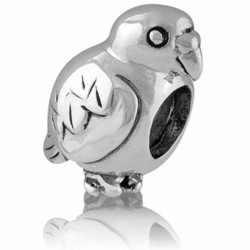 LK132 Evolve Charms NZ Kea