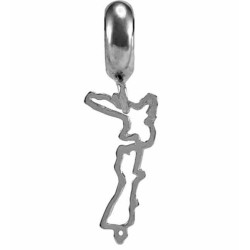 LKD019 Evolve  Charm NZ Map