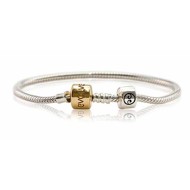 Evolve  Bracelet with Gold Clasp