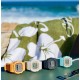 Christies Jewellery - GLXS5600-3D G Shock Tide Graph Watch Auckland NZ GLXS5600-3D G Shock Tide Graph Watch GLX-S5600-3 G-Shock