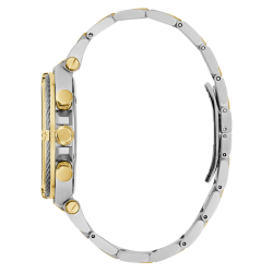 Z32005G9 Gc IronClass