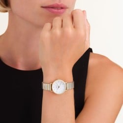 SEWDSG-SE03 Rosefield Small Edit White MOP Half-Moon Steel Duotone SEWDSG-SE03 Rosefield Small Edit White MOP Half-Moon Steel Duotone