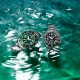 Seiko Prospex 1968 Diver’s Modern Re‑interpretation GMT – HBC002J – Seiko Watches NZ Seiko Prospex 1968 Diver’s Modern Re‑interpretation GMT – HBC002J by Seiko Watches