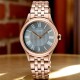 SUR614P Seiko Ladies Analogue Rose Gold Watch – Seiko Watches NZ SUR614P Seiko Ladies Analogue Rose Gold Watch by Seiko Watches NZ