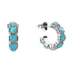 Stolen Halo Cluster Opal Earrings - JWL20229-RO