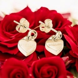 Stolen Mini Love Chain Earring Gold Plated