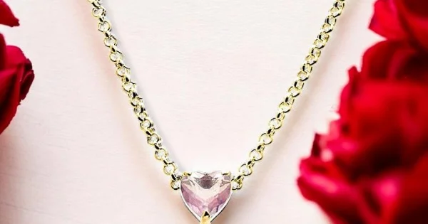 Stolen Talon Necklace Gold Plated – Stolen Girlfriends Club