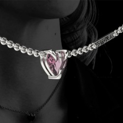 Stolen Talon Necklace Silver