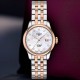 Christies Jewellery - Tissot Le Locle Automatic Lady T0062072211600 Watches Auckland NZ Tissot Le Locle Automatic Lady T0062072211600 T006.207.22.116.00 Watches Auckland