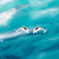 Evolve Mini Dolphin Studs Earrings Evolve Mini Dolphin Studs Earrings