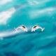 Evolve Mini Dolphin Stud Earrings Evolve Mini Dolphin Stud Earrings featuring a playful dolphin design crafted from silver.