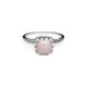 Baby Claw Ring Rose Quartz - JWL2052R – Baby Claw Ring Rose Quartz - JWL2052R by Stolen Girlfriends Club