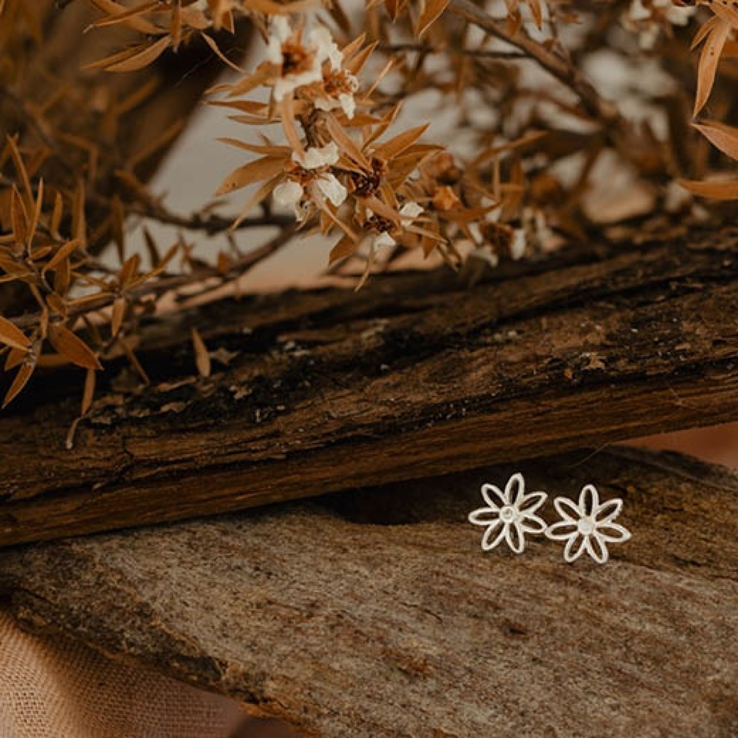 Evolve Silver Daisy Friendship Earrings Close-up of Evolve Silver Daisy Friendship Earrings featuring a delicate daisy design on a white background.