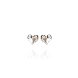 Evolve Mini Heart Paua Studs Earrings 