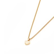 Stolen Heart Necklace JWL2040-18YGP