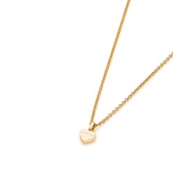 Stolen Heart Necklace JWL2040-18YGP